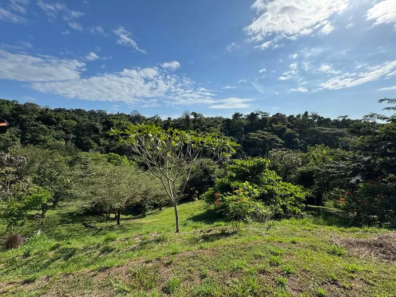 Land For Sale in Santiago