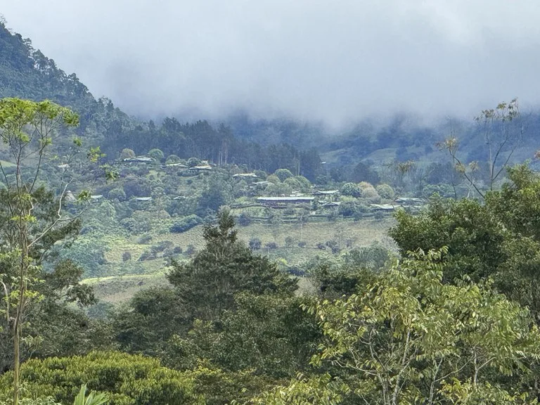 3.2 Acre Riverfront Property with Mountain Views San Francisco San Isidro, photo 14