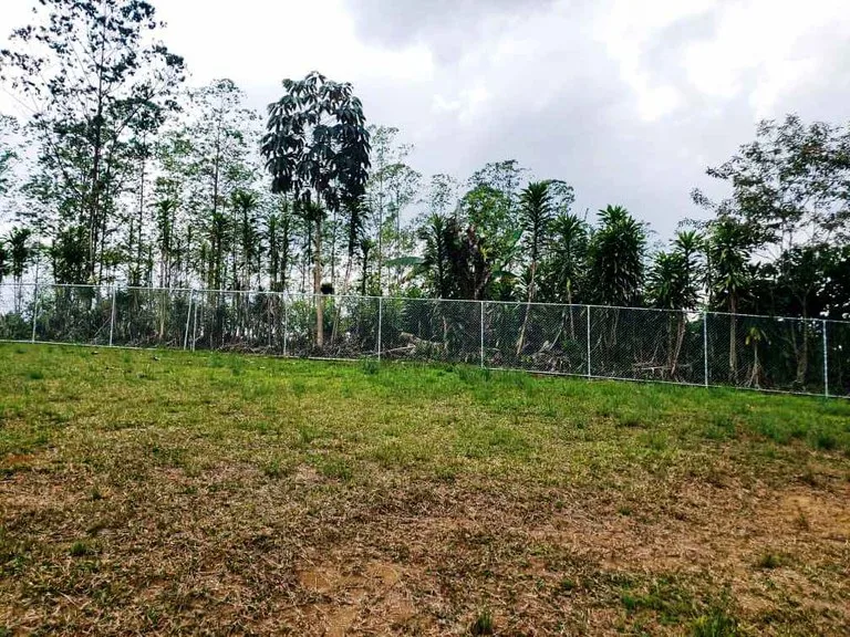 3.2 Acre Riverfront Property with Mountain Views San Francisco San Isidro, photo 15