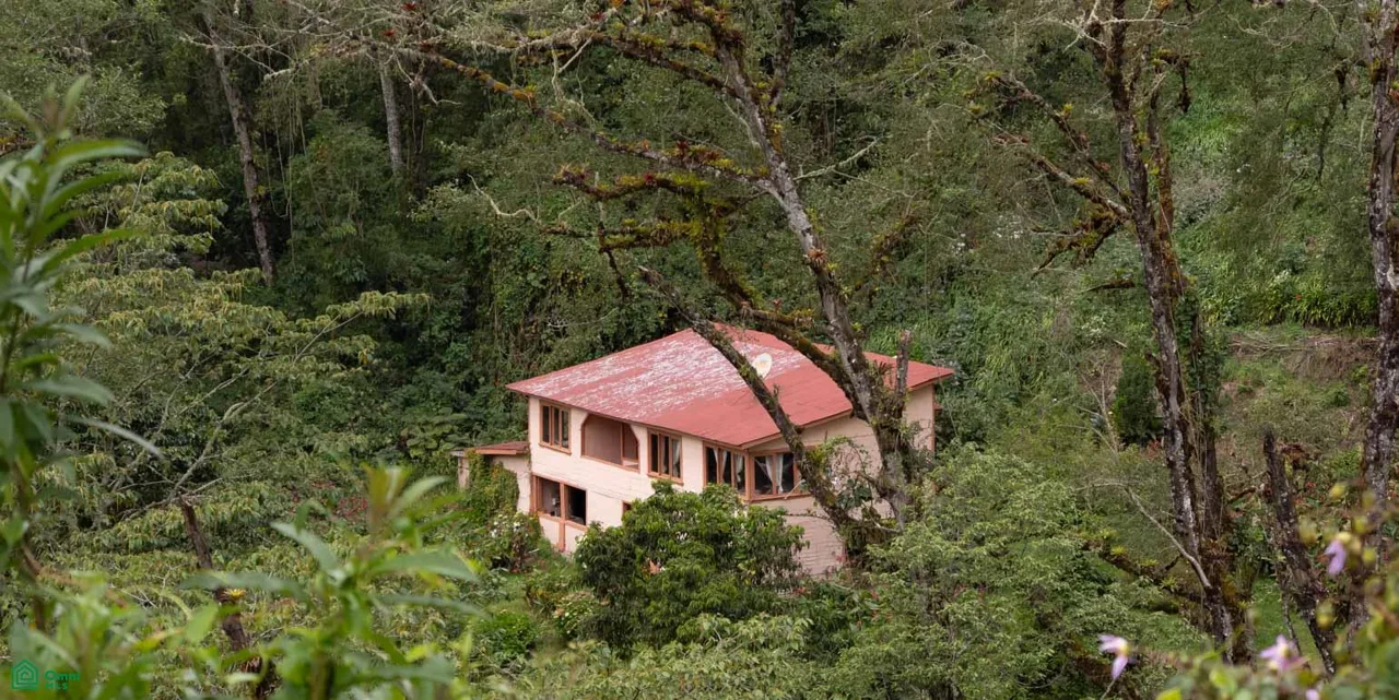 Finca de 594 Hectareas en Venta en Perez Zeledon - Conservacion y Bosque, photo 4