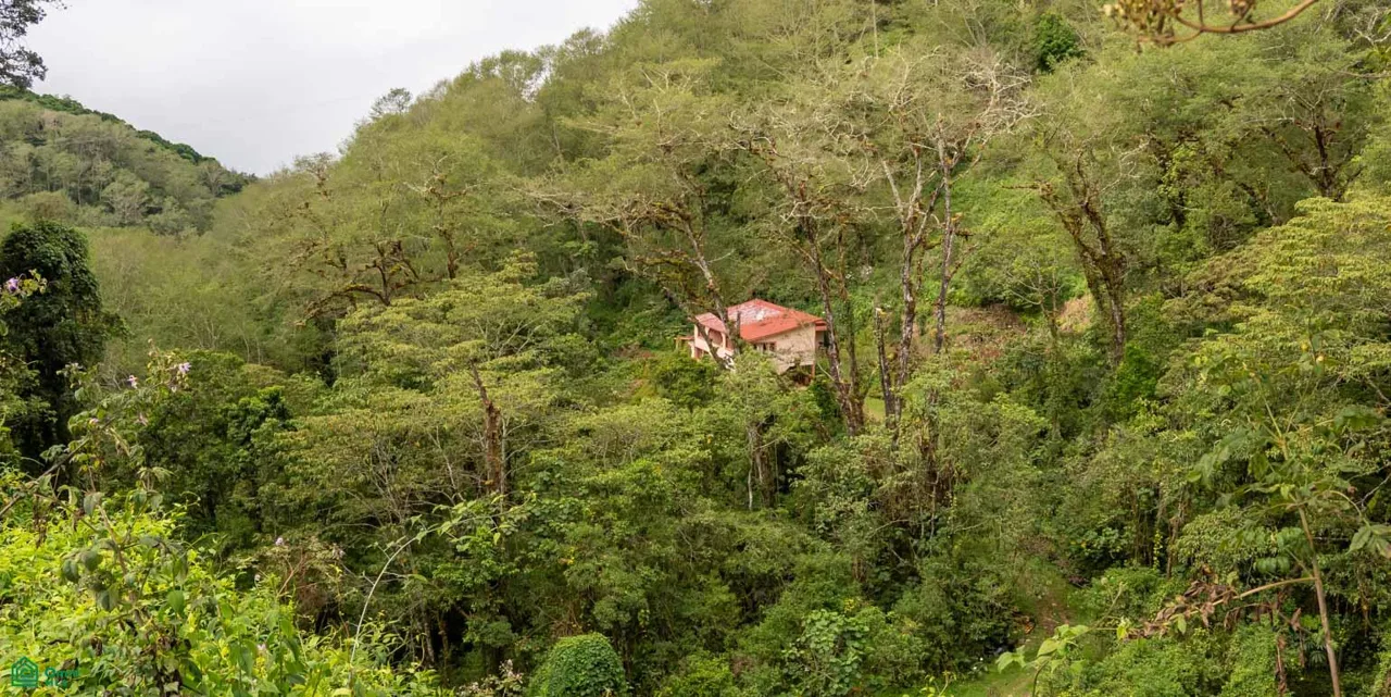 Finca de 594 Hectareas en Venta en Perez Zeledon - Conservacion y Bosque, photo 8