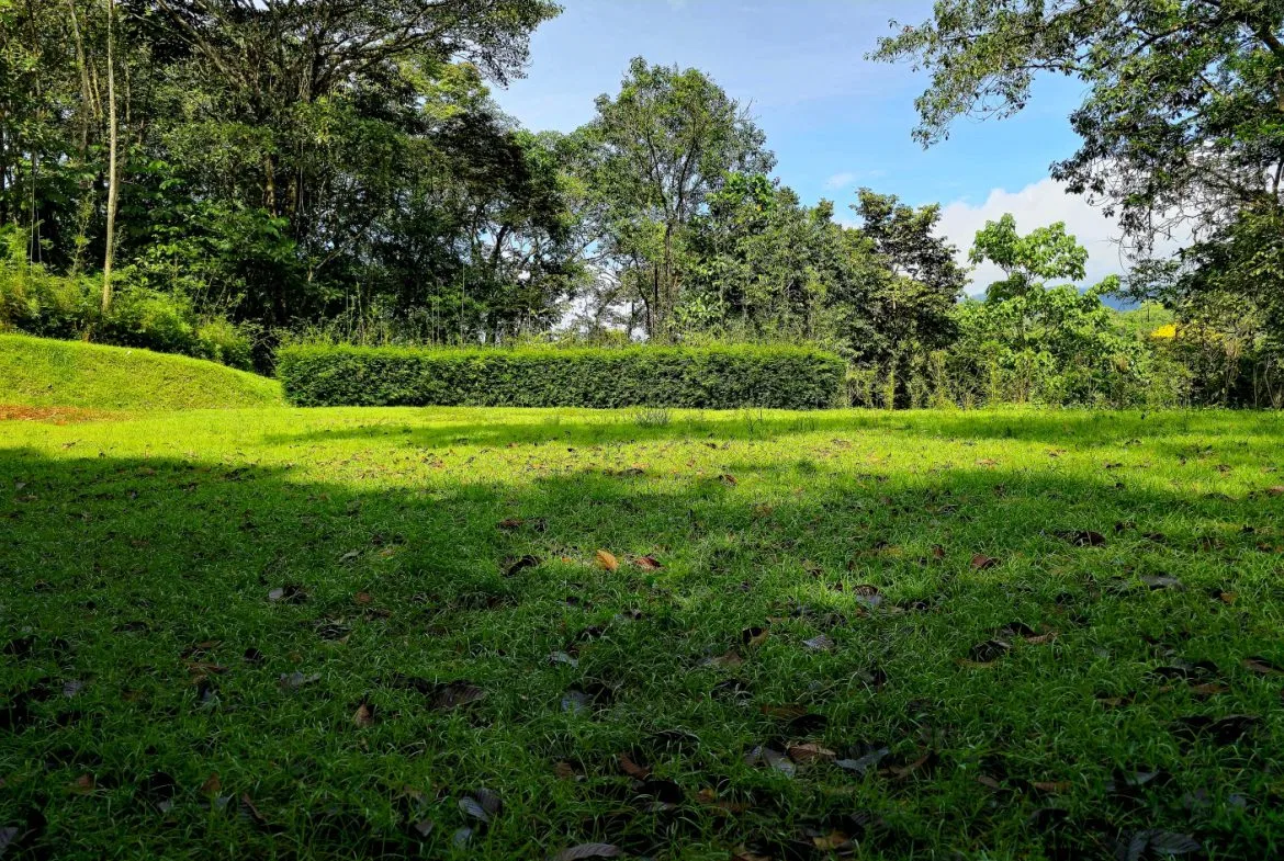 5-MINUTE DRIVE TO UVITA LOT – 0.23 ACRES, photo 2