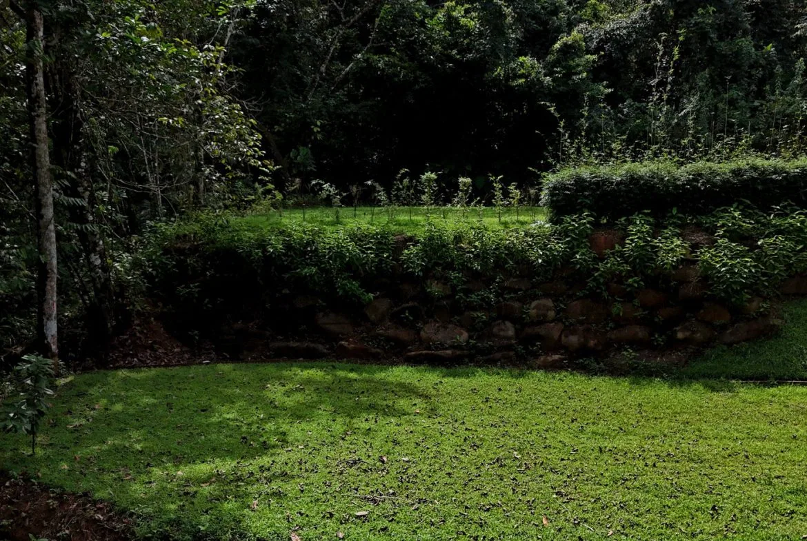 5-MINUTE DRIVE TO UVITA LOT – 0.23 ACRES, photo 19