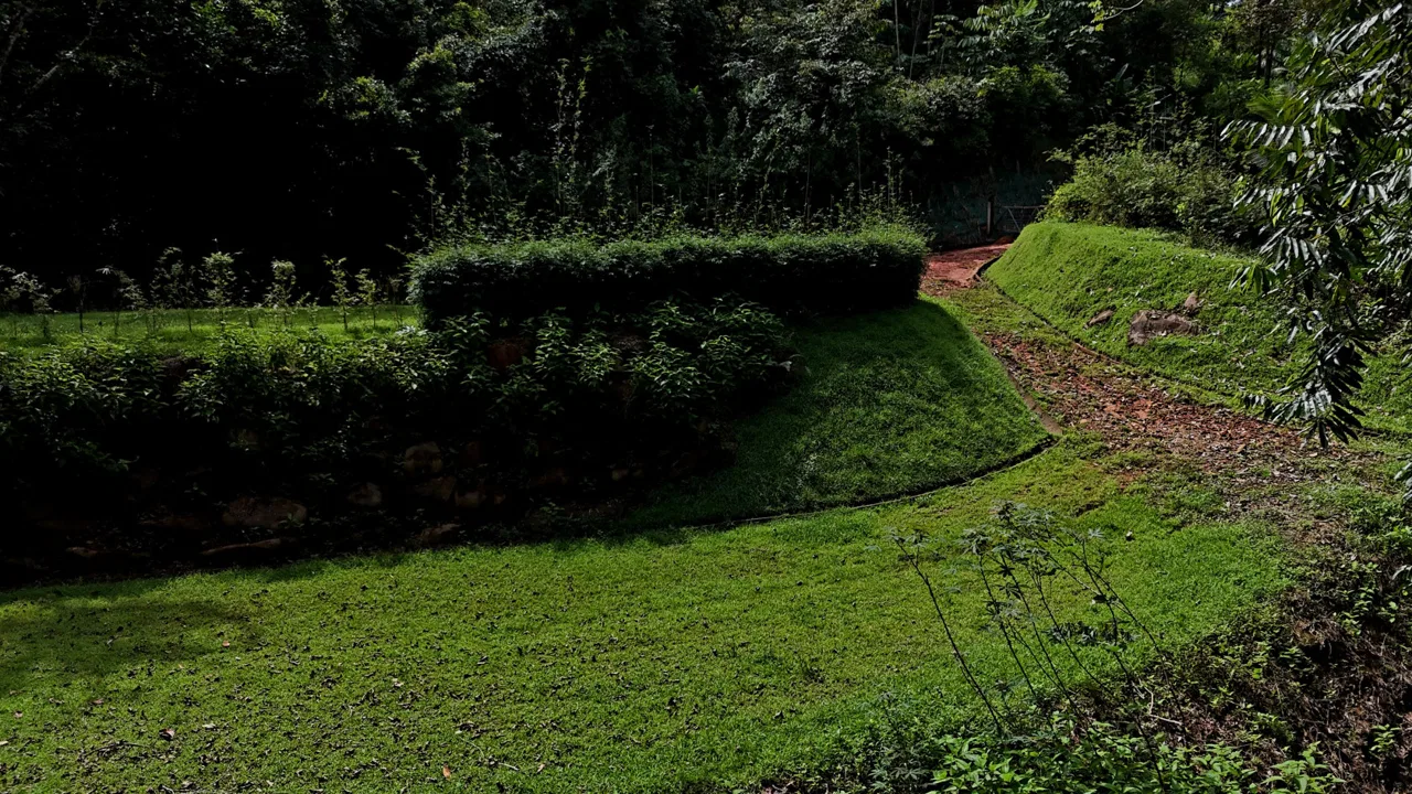 5-MINUTE DRIVE TO UVITA LOT – 0.23 ACRES, photo 20