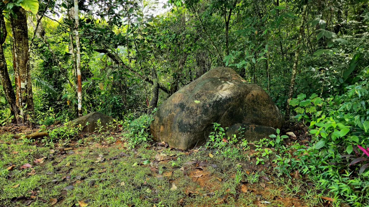 5-MINUTE DRIVE TO UVITA LOT – 0.23 ACRES, photo 3