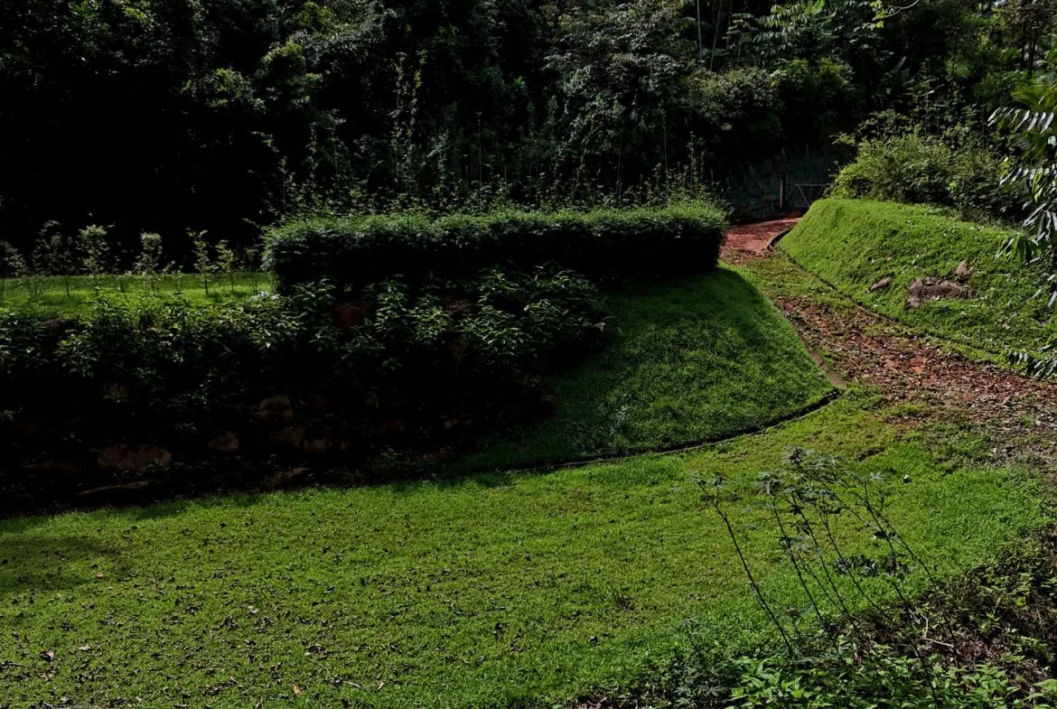 5-MINUTE DRIVE TO UVITA LOT – 0.23 ACRES, photo 21