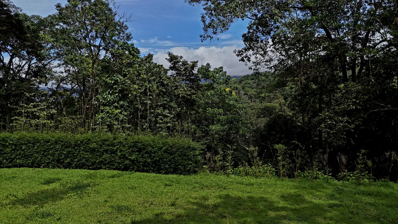 5-MINUTE DRIVE TO UVITA LOT – 0.23 ACRES, photo 22