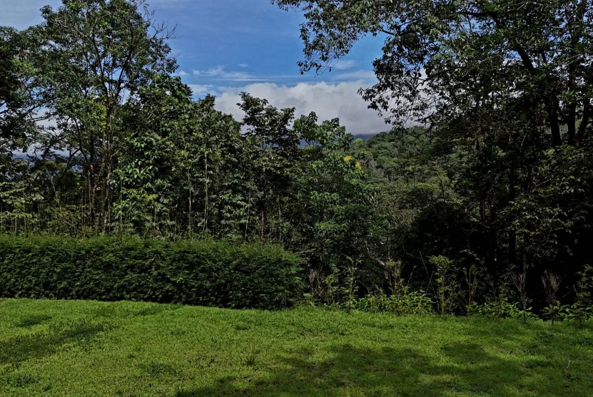 5-MINUTE DRIVE TO UVITA LOT – 0.23 ACRES, photo 23