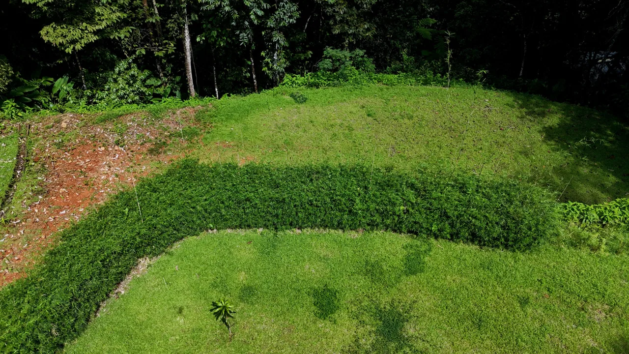 5-MINUTE DRIVE TO UVITA LOT – 0.23 ACRES, photo 4