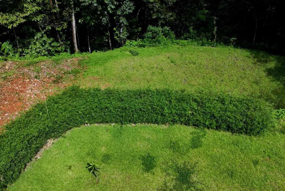 5-MINUTE DRIVE TO UVITA LOT – 0.23 ACRES, photo 5