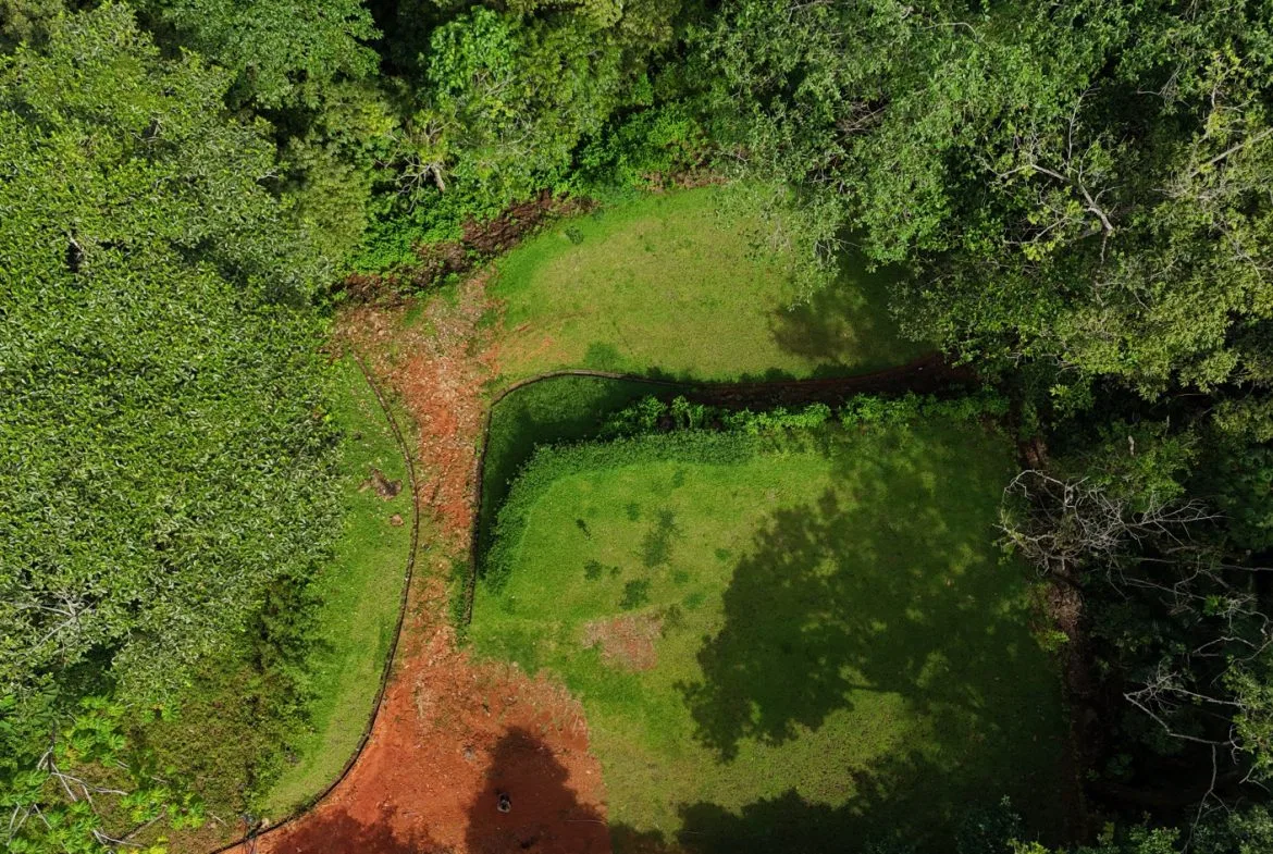 5-MINUTE DRIVE TO UVITA LOT – 0.23 ACRES, photo 7