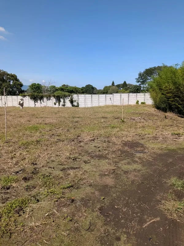 Se vende terreno en Santo Tomás, Santo Domingo. Cerca de Automercado y El Lagar. Propiedad rectangular totalmente plana. 6.652 metros cuadrados. Acceso a la calle frente a Automercado. ...