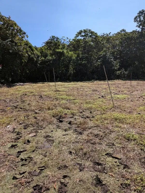 Se vende terreno en Santo Tomás, Santo Domingo. Cerca de Automercado y El Lagar. Propiedad rectangular totalmente plana. 6.652 metros cuadrados. Acceso a la calle frente a Automercado. ..., photo 4