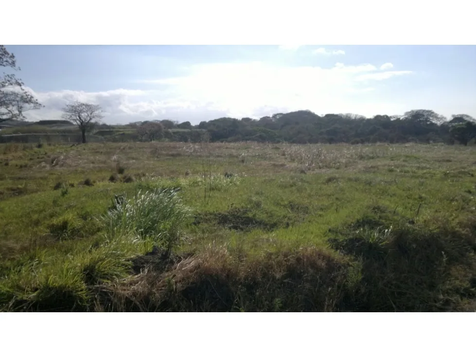 Venta de Terreno - Uso Industrial -Santa Ana - Cod SM1285
