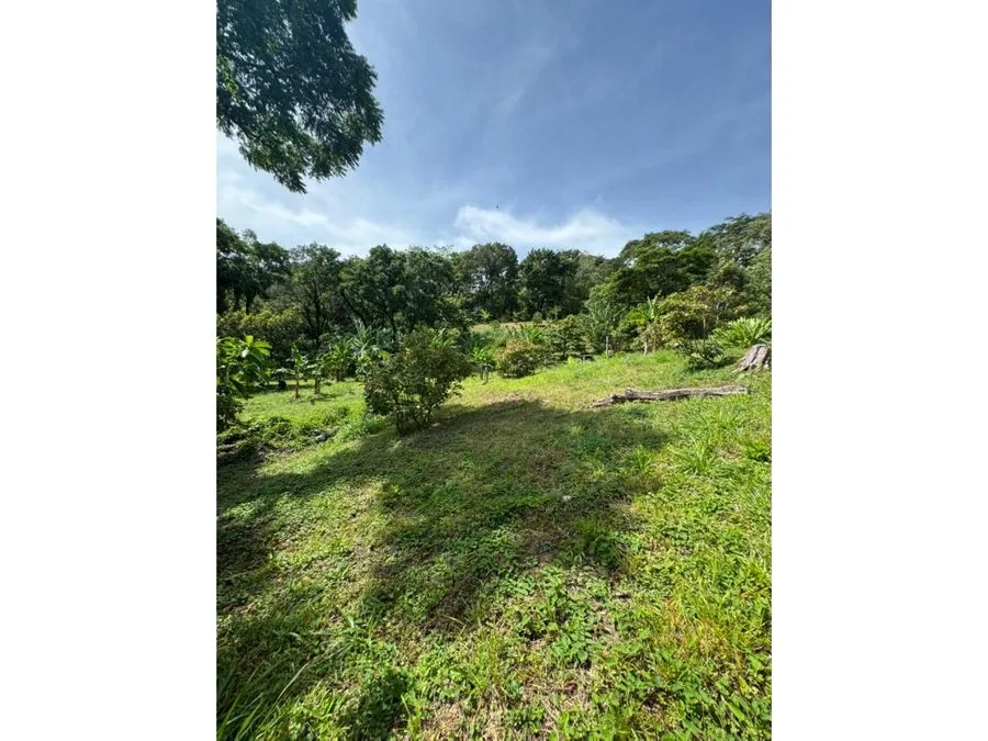 Finca de OPORTUNIDAD en La Angostura de San Ramon de Alajuela