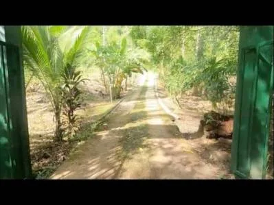 Propiedad Zona Comercial Con Casa De 3 Dormitorios Y Cabina En La Carretera., photo 3