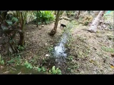 Propiedad Zona Comercial Con Casa De 3 Dormitorios Y Cabina En La Carretera., photo 4