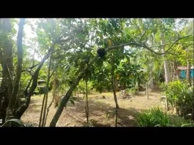 Propiedad Zona Comercial Con Casa De 3 Dormitorios Y Cabina En La Carretera., photo 6