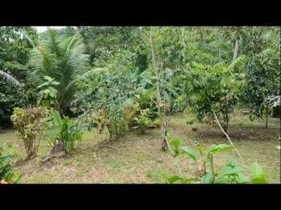Propiedad Zona Comercial Con Casa De 3 Dormitorios Y Cabina En La Carretera., photo 7