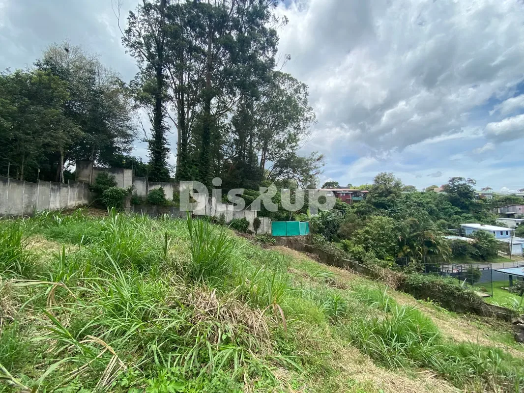Gated Residential Lot for Sale | San Rafael de Montes de Oca, photo 9