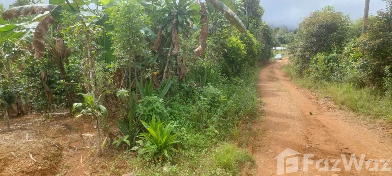 Land for Sale in Perez Zeledon, San Jose for $39,700, photo 2