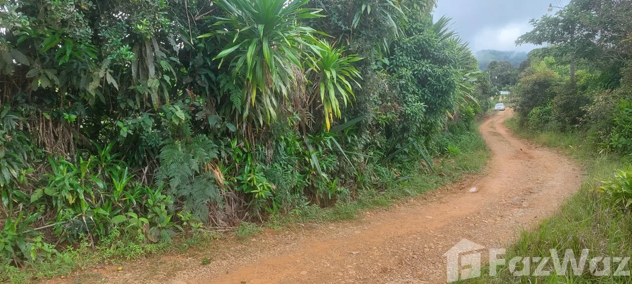 Land for Sale in Perez Zeledon, San Jose for $39,700, photo 3