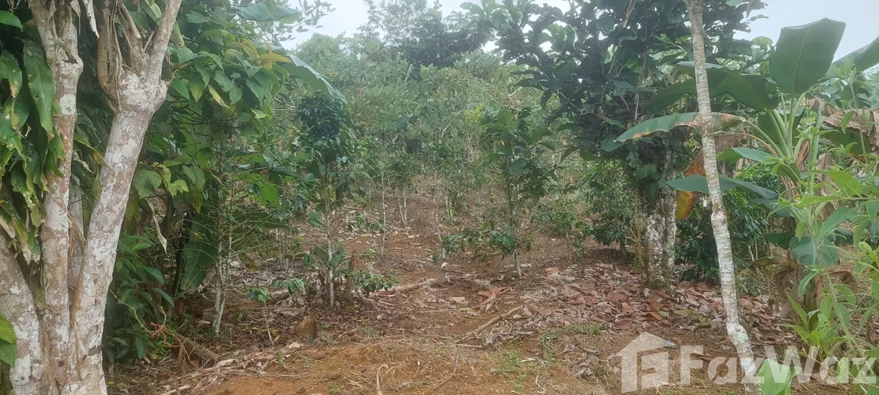 Land for Sale in Perez Zeledon, San Jose for $39,700, photo 4