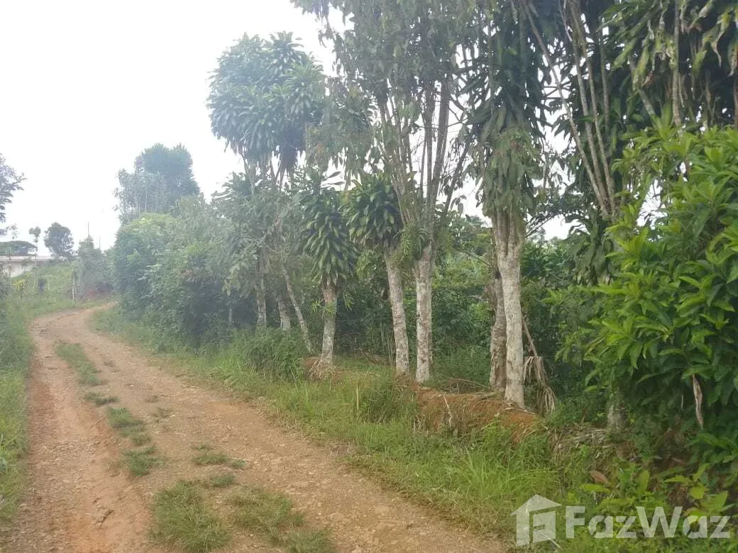 Land for Sale in Perez Zeledon, San Jose for $39,700, photo 5