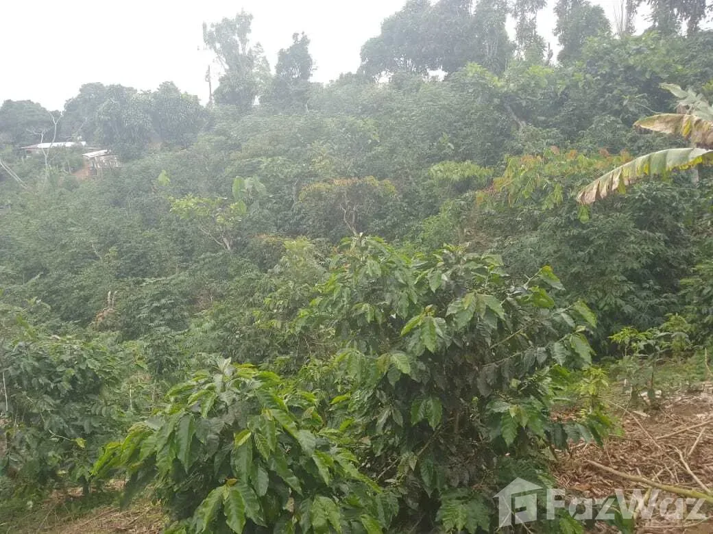 Land for Sale in Perez Zeledon, San Jose for $39,700, photo 6