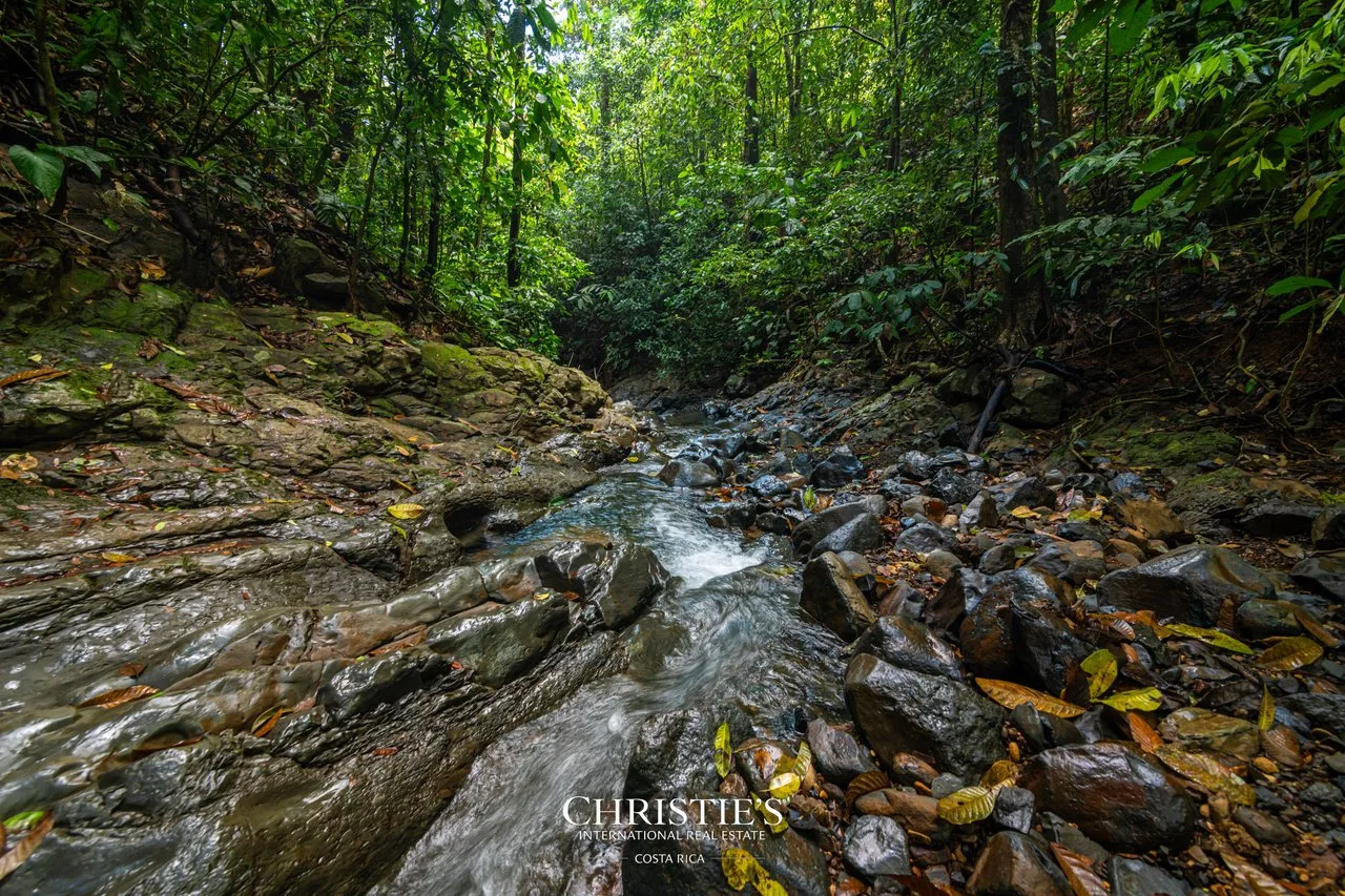 Biophilia Nature Preserve