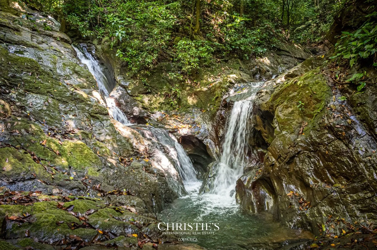 Biophilia Nature Preserve, photo 2