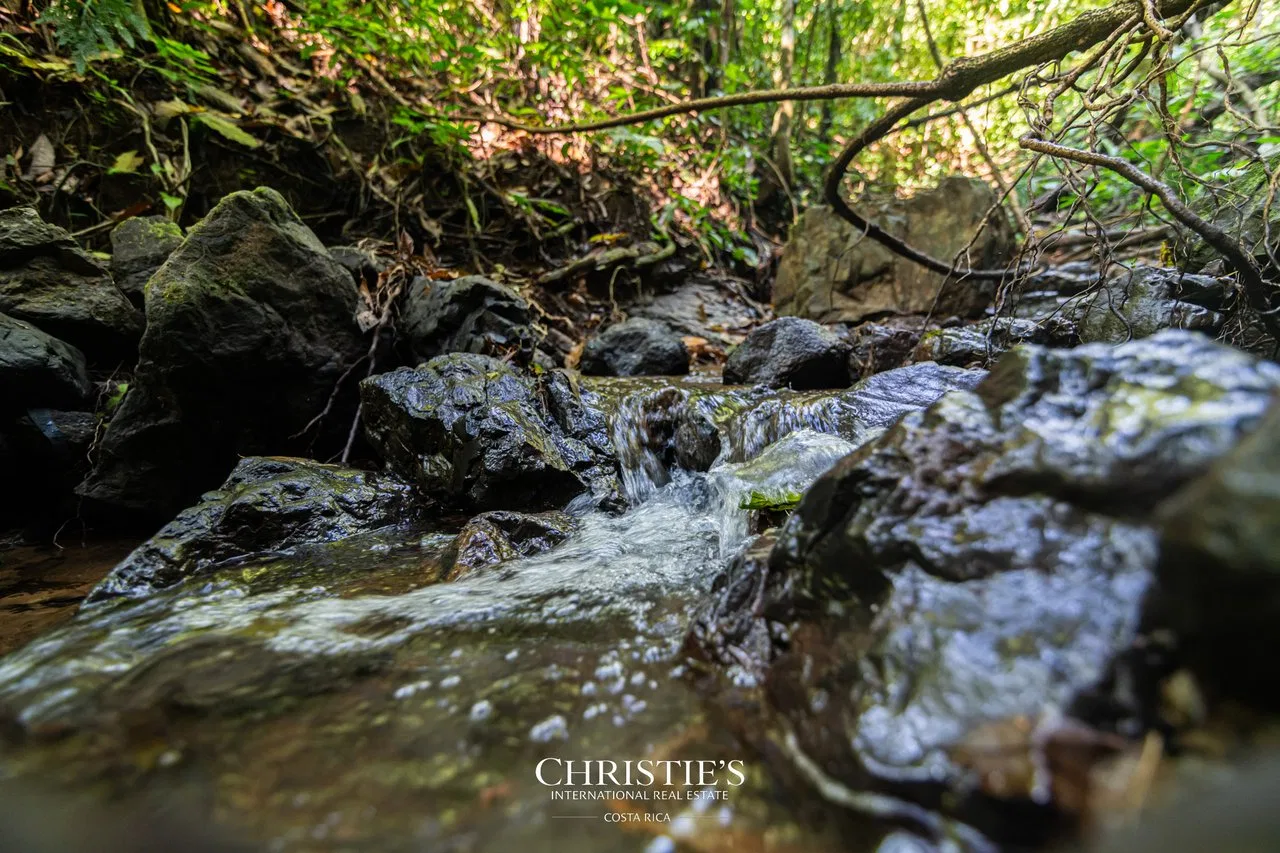 Biophilia Nature Preserve, photo 12