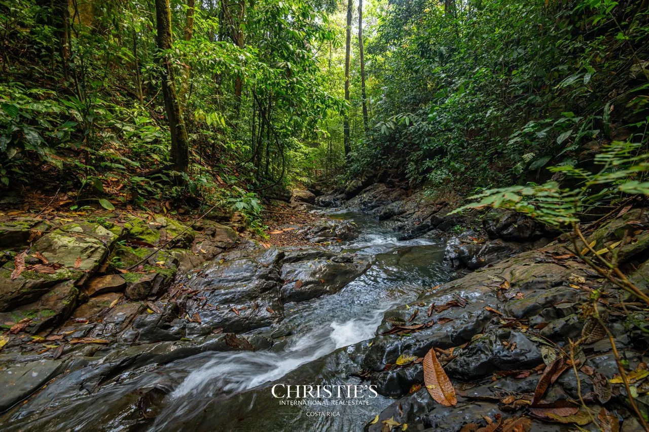 Biophilia Nature Preserve, photo 14