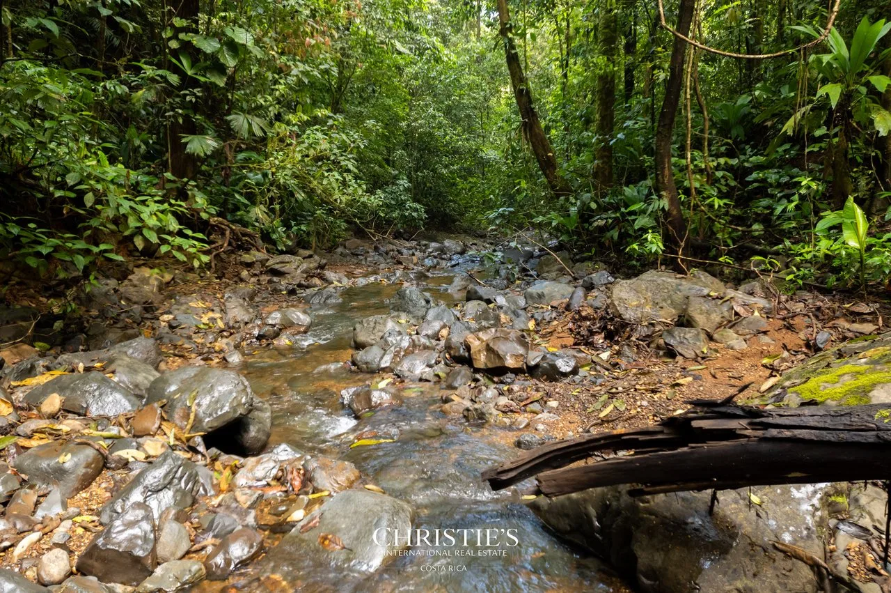 Biophilia Nature Preserve, photo 15