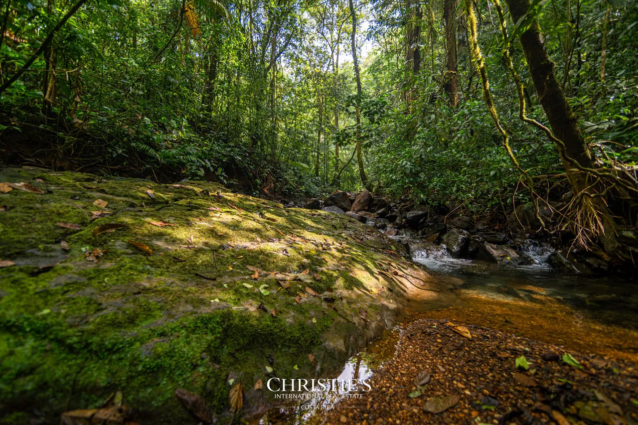 Biophilia Nature Preserve, photo 17