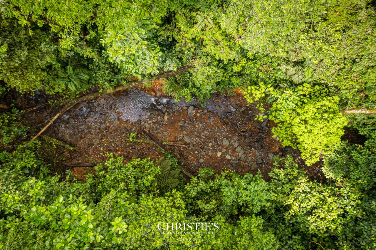Biophilia Nature Preserve, photo 18