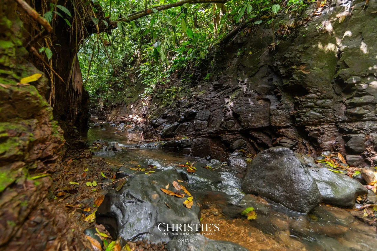 Biophilia Nature Preserve, photo 19