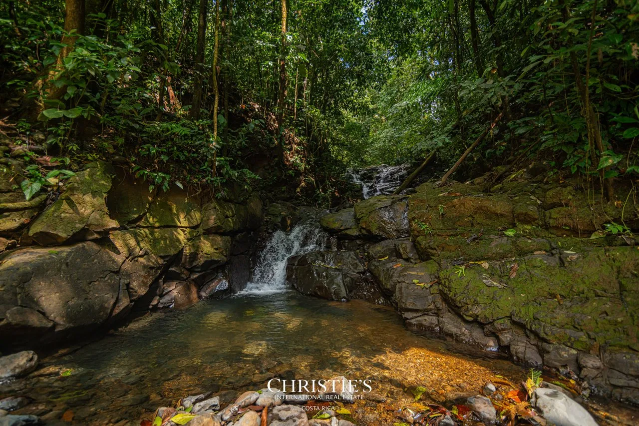 Biophilia Nature Preserve, photo 20