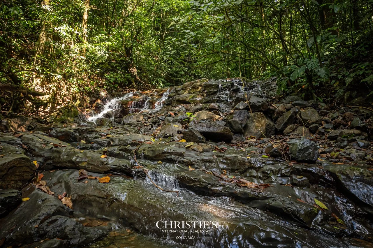 Biophilia Nature Preserve, photo 21