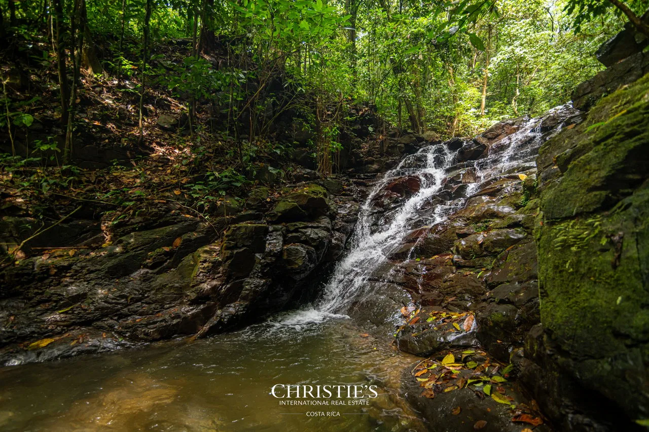 Biophilia Nature Preserve, photo 22