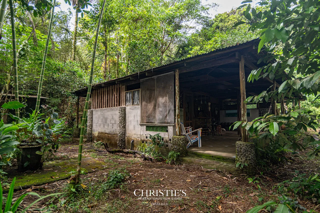 Biophilia Nature Preserve, photo 26