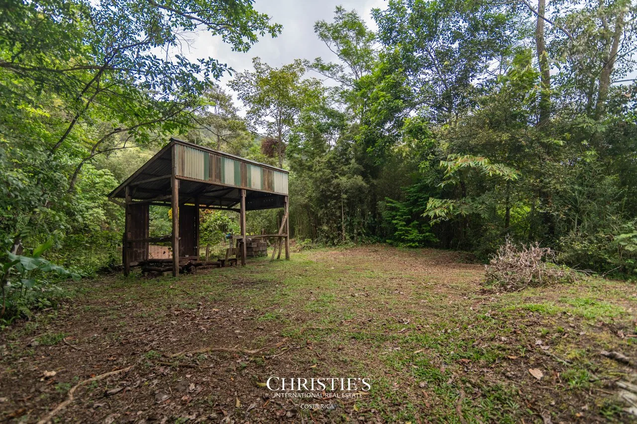 Biophilia Nature Preserve, photo 29