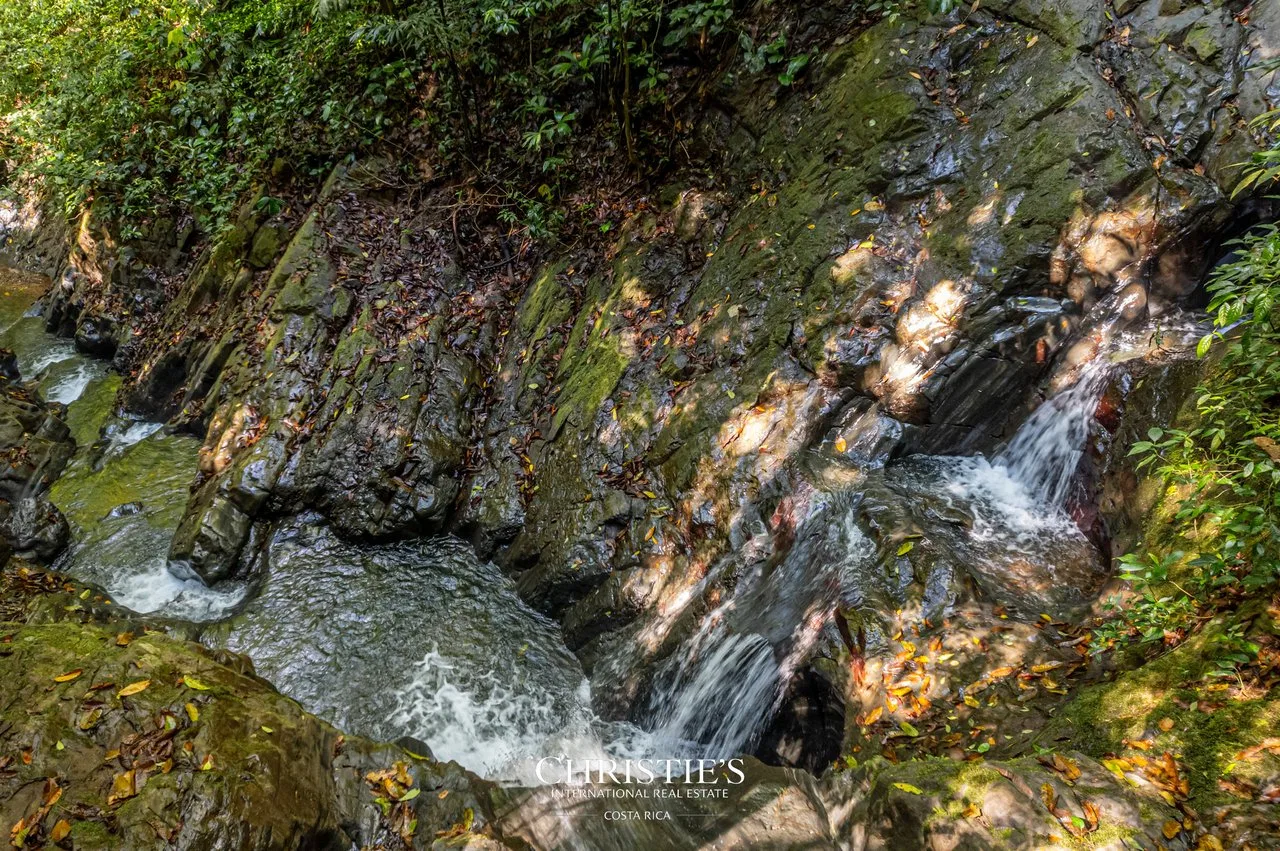 Biophilia Nature Preserve, photo 4