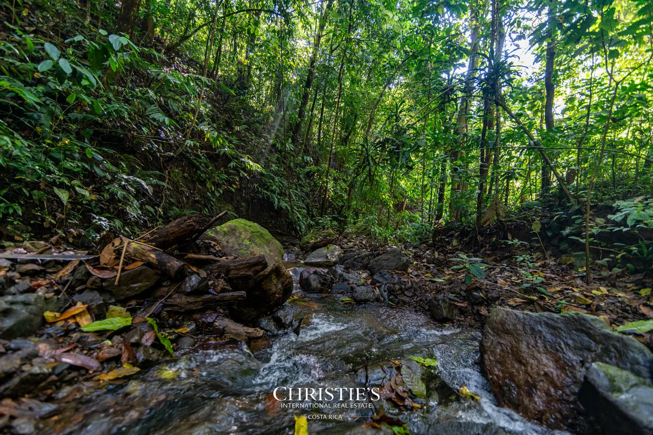 Biophilia Nature Preserve, photo 6