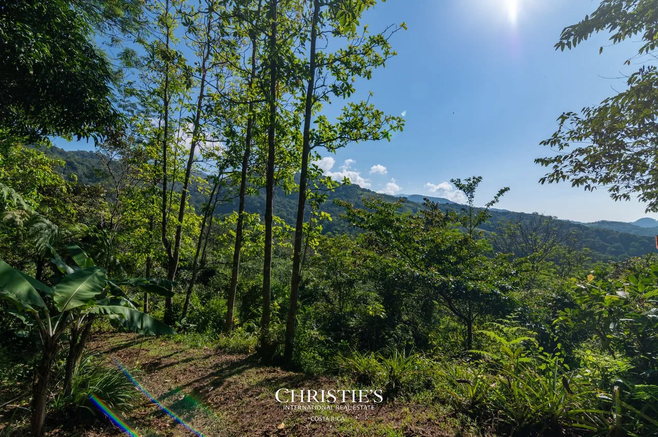 Biophilia Nature Preserve, photo 7
