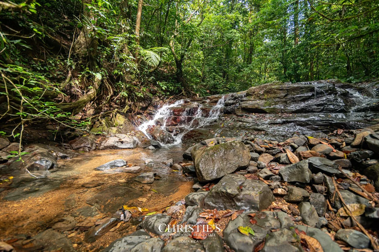 Biophilia Nature Preserve, photo 8
