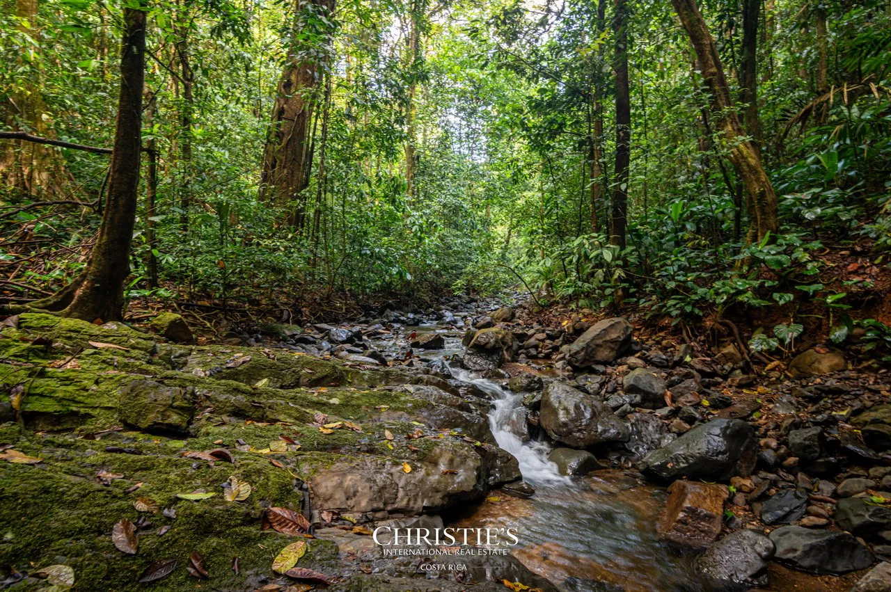 Biophilia Nature Preserve, photo 9