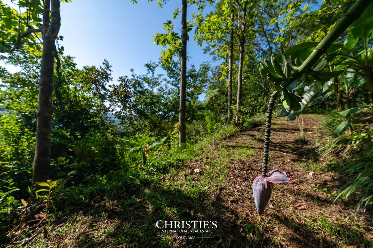 Biophilia Nature Preserve, photo 10