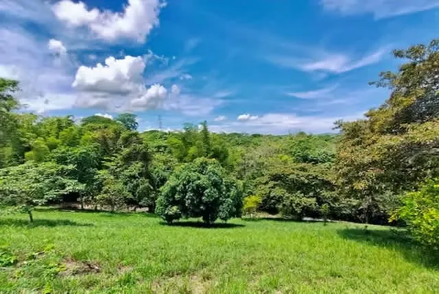 For sale lots Esparza La Reserva condominium