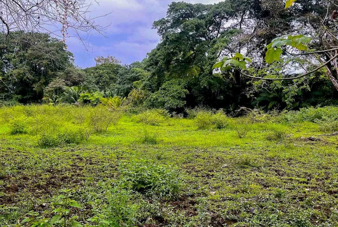 BUILDING PROPERTY WITH STEPS OF THE BEACH, IN LA COLONIA – 2.47 ACRES, photo 2